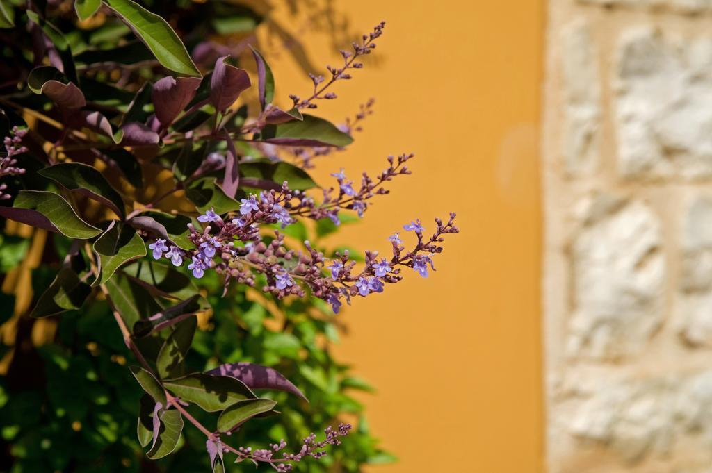 Enastron Villas Kyparissia Buitenkant foto