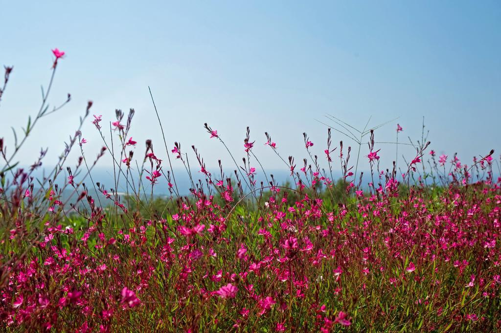 Enastron Villas Kyparissia Buitenkant foto